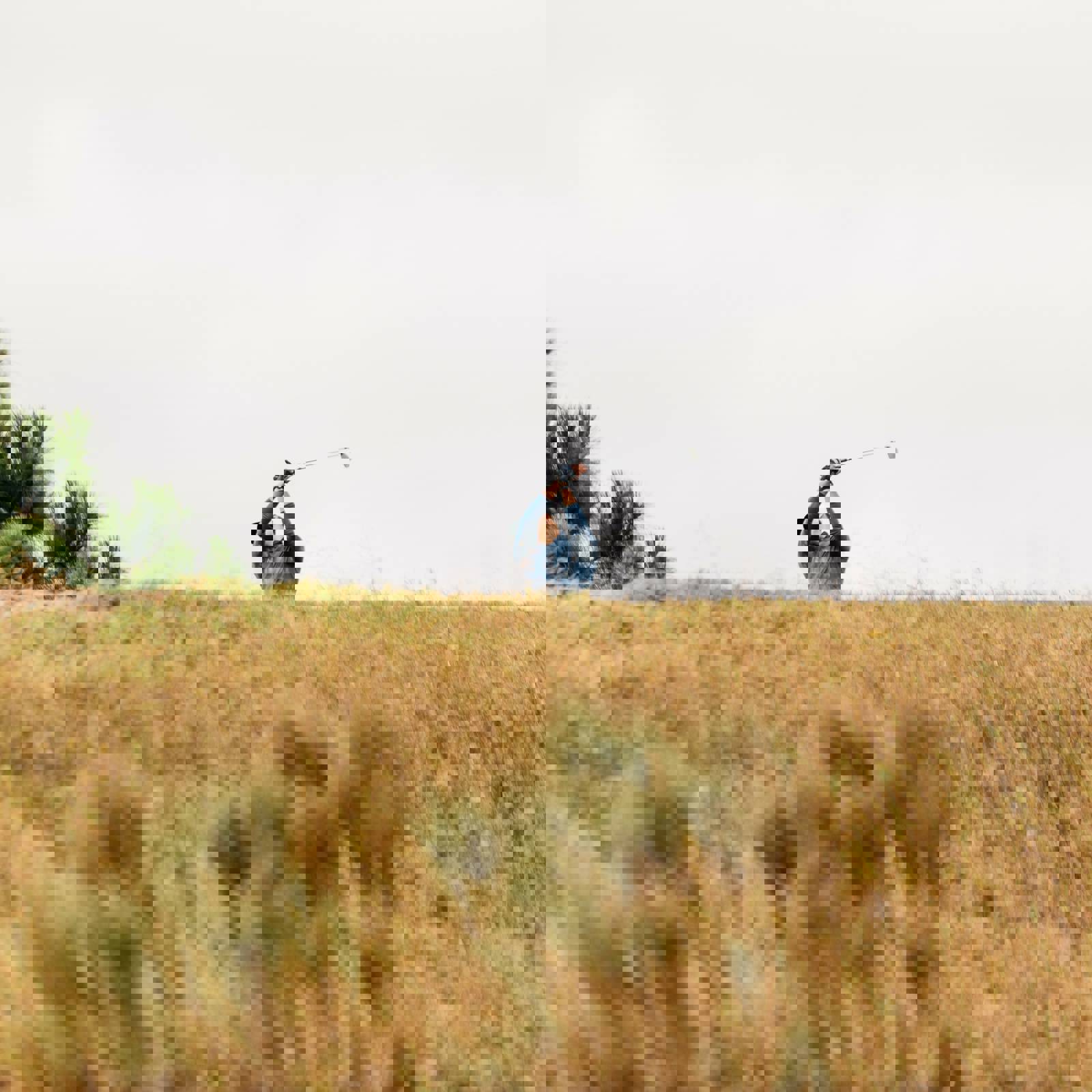 Brandon Williams E5qciqghtqg Unsplash